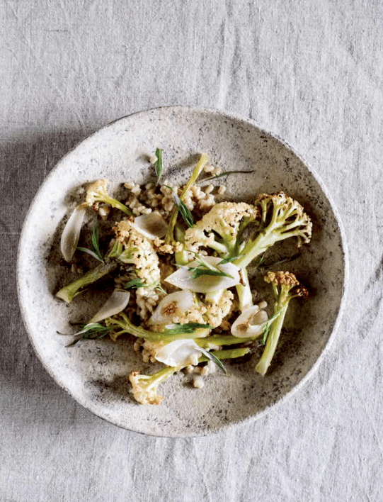 erde salz glut kochbuch