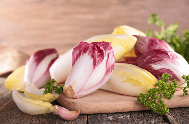 Chicorée vegane Warenkunde