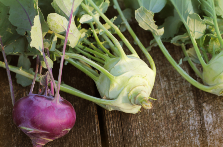 Kohlrabi vegane Warenkunde