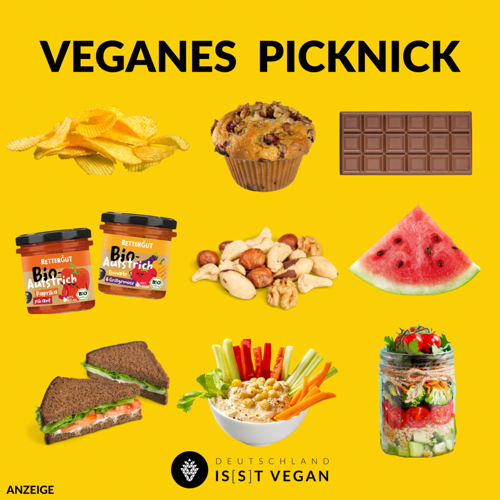 Veganes Picknick 