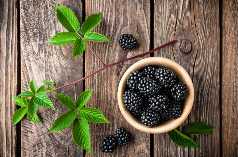 Vegane_Warenkunde_Brombeeren