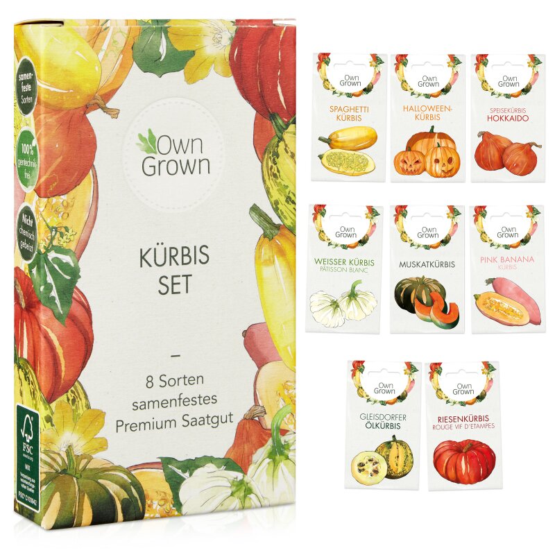 Kürbis Rezept und Saatgut