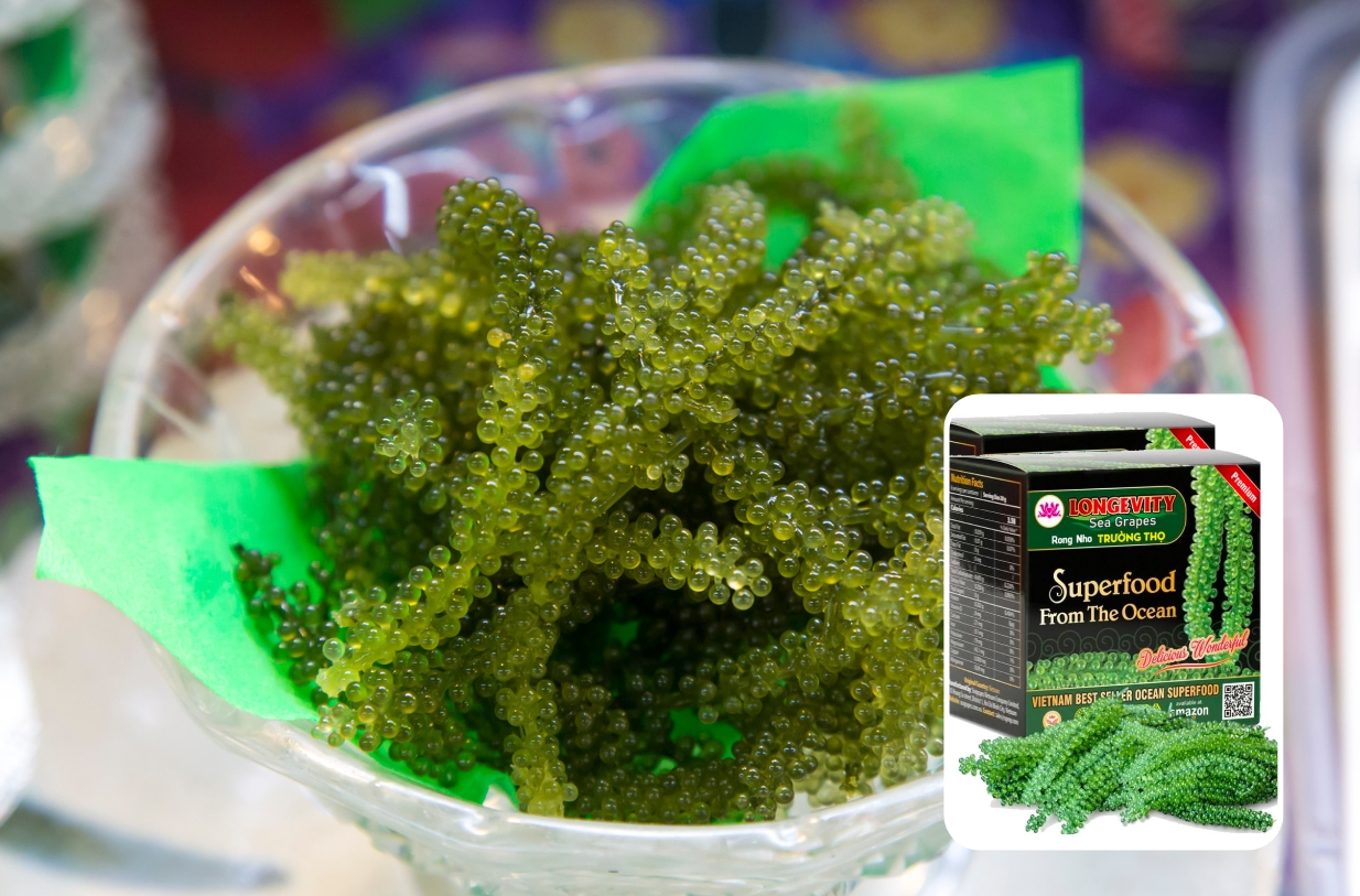 Umibudo - die knackige Meerestraube von Algenladen