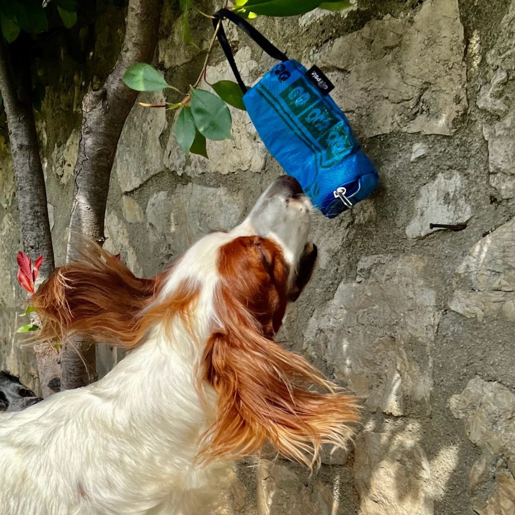 Nachhaltige Upcycling-Produkte: Für Hunde und Halter