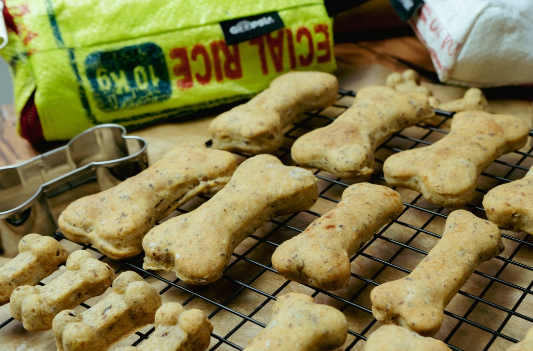 vegane hundekekse selber machen Rezept