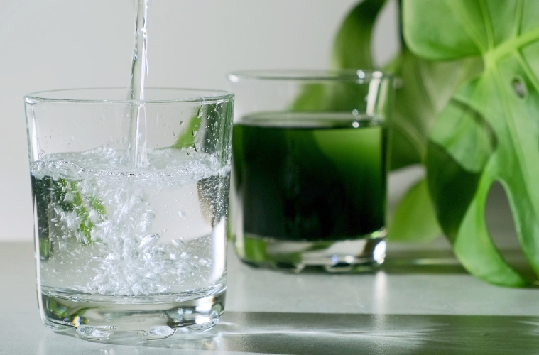 Chlorophyll: Das grüne Lebenselixier – Hype oder echter Gesundheitsboost?