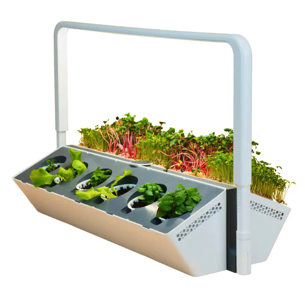 Zieh deine eigenen Microgreens und ernte mehr Vitamine. Mit dem greenyGROW gelingt dir der Anbau einfach, nachhaltig und platzsparend zuhause.