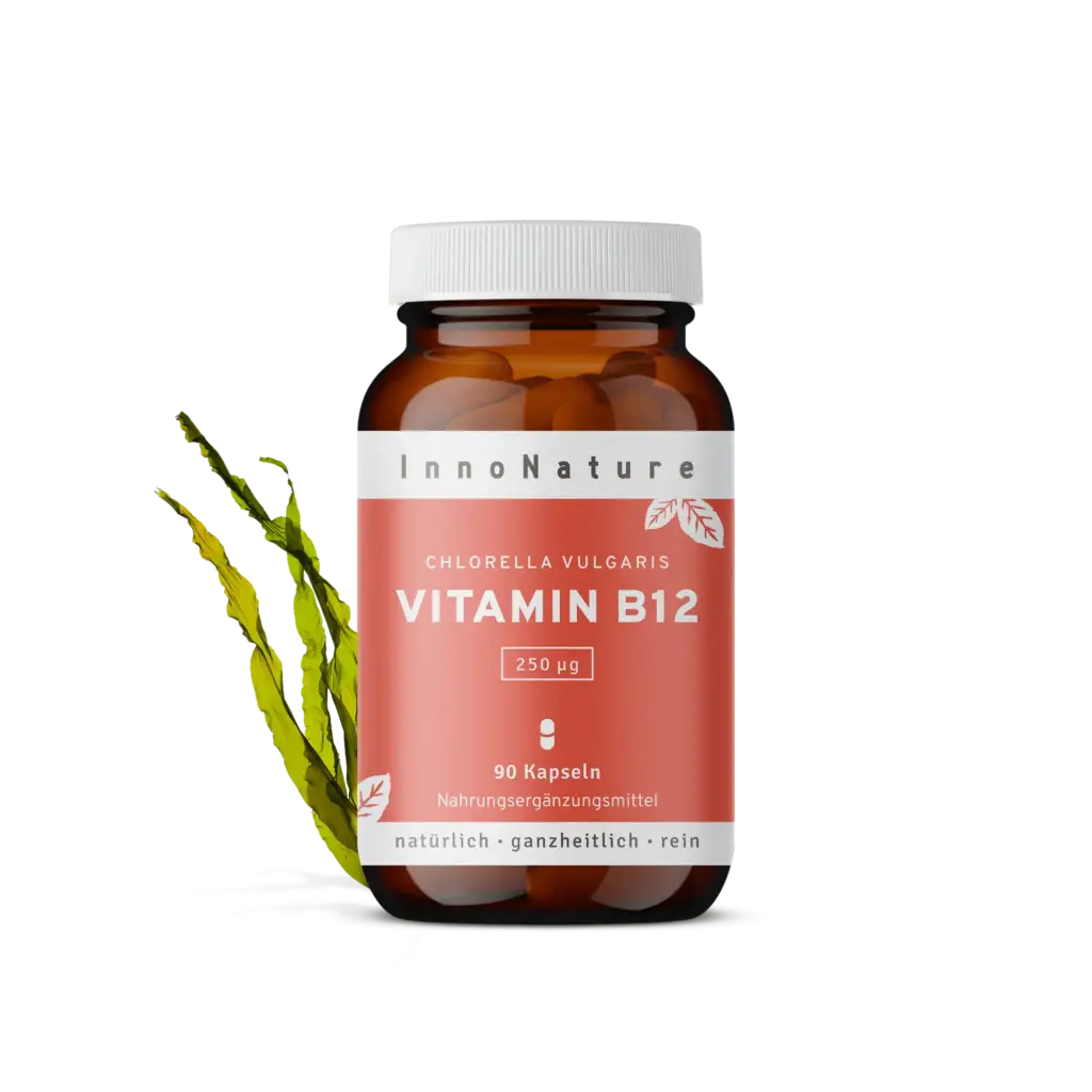 Vitamin B12: Das wichtigste Supplement